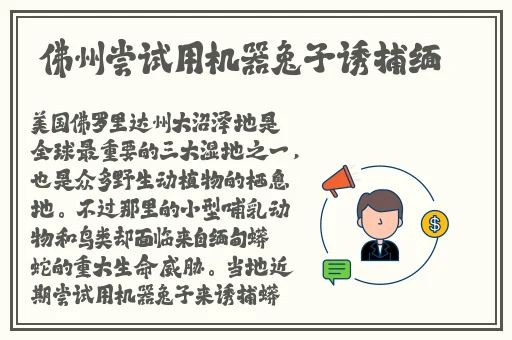 传媒王拉拉升职记xk8020